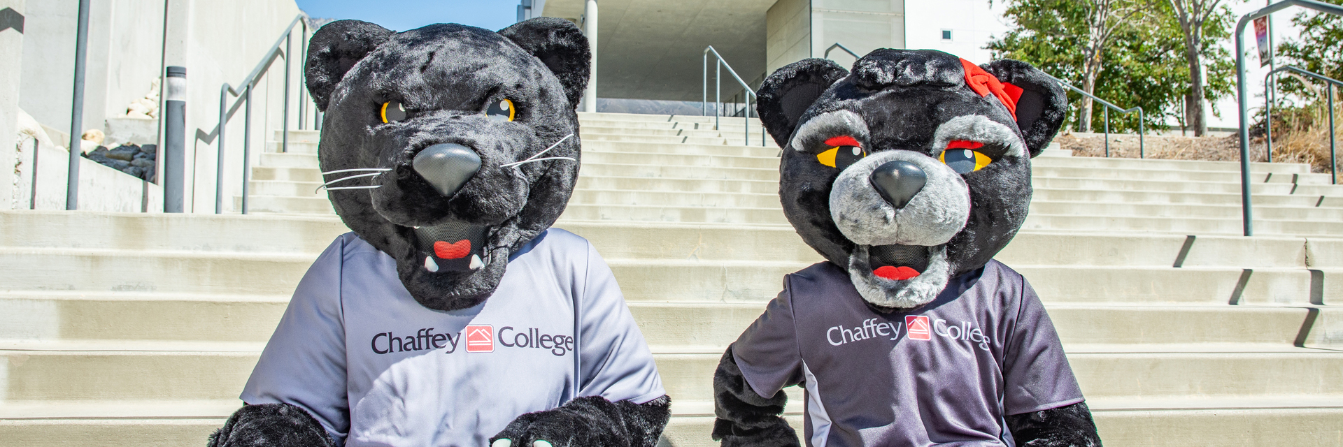 Two black panther mascot figures, wearing gray and dark gray shirts with Chaffey College logos, are seated on outdoor steps.