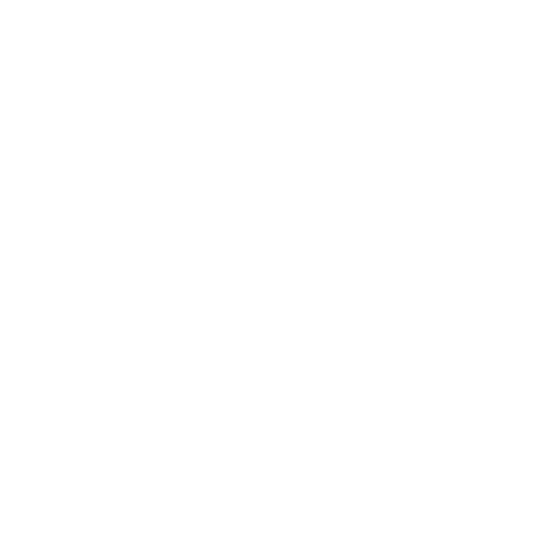 FAQs icon